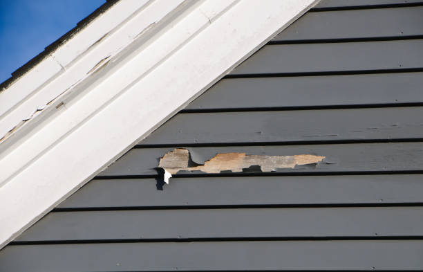 Storm Damage Siding Repair in Woodbine, IA